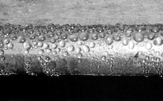 TRB 547 No Sweat Coating